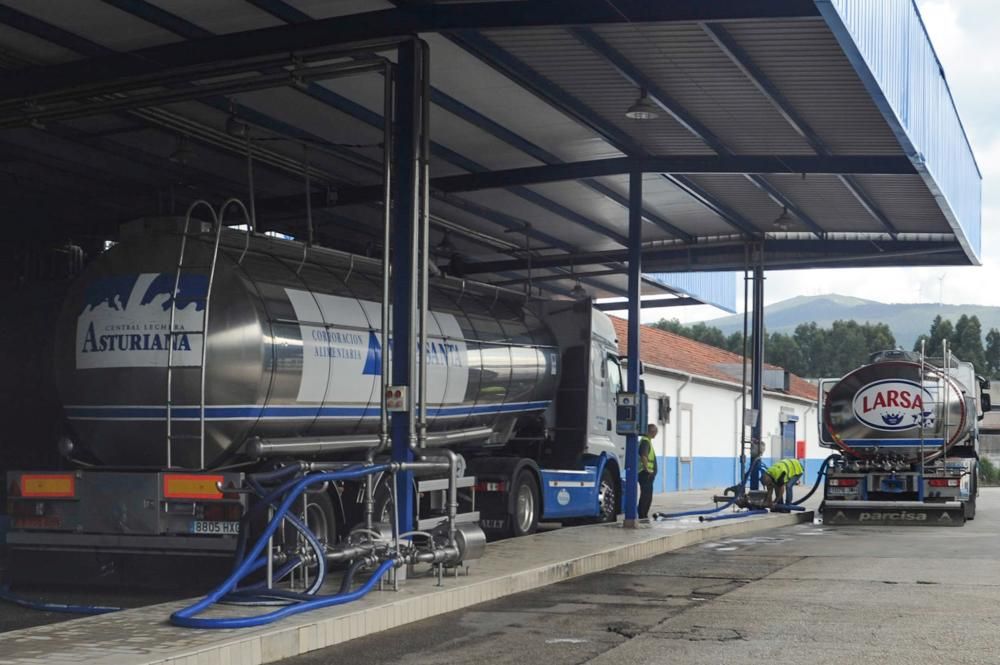 La fábrica de Larsa en Vilagarcía se moderniza