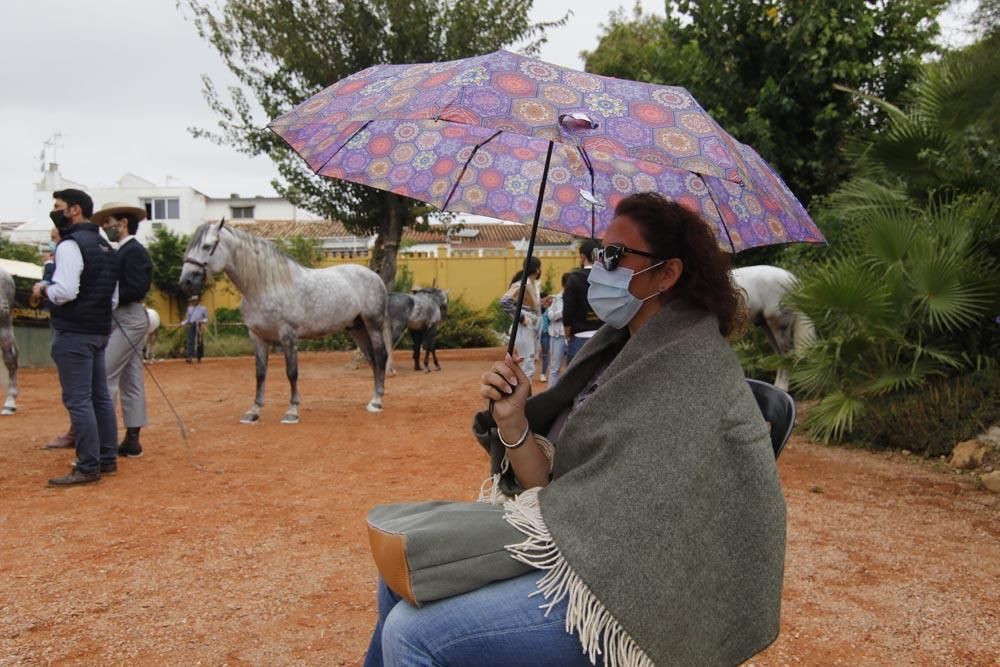 Cabalcor puede con la lluvia y el Covid