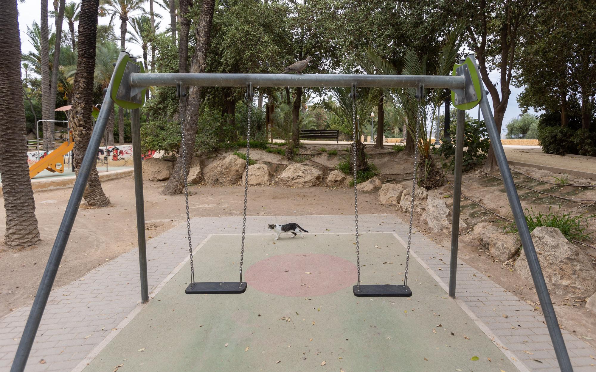 El abandono del Parque El Palmeral de Alicante