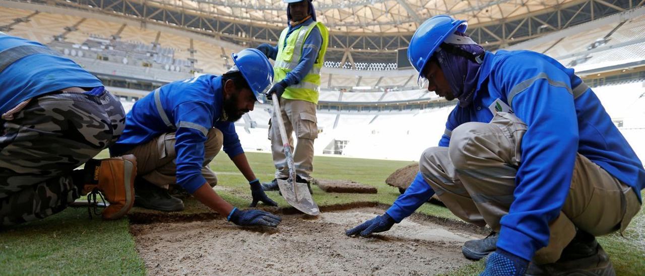 Trabajadores colocando el césped dentro del Estadio Lusail, sede de la final de la Copa del Mundo de Qatar 2022 /