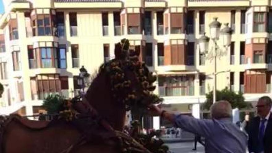 Susto con un caballo durante una boda en Santa María