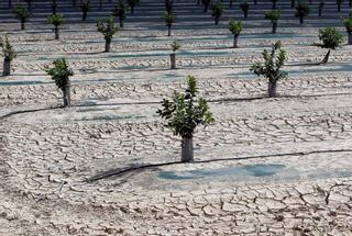 La Tierra, “al borde del precipicio climático”: la NASA augura que en 10 años se llegará al tope fijado en el Acuerdo de París