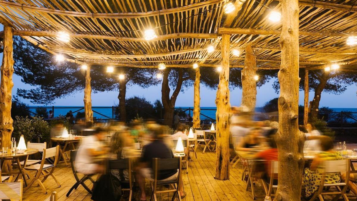 Divulgación, arte y gastronomía: Bosque Masía Bellver prepara una experiencia única.