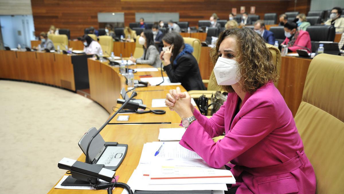 La consejera de Transición Ecológica, Olga García, en el pleno.