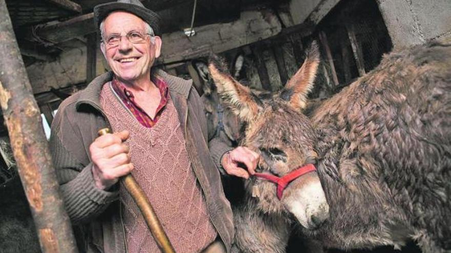 El sotobarquense Jorge Bango, ayer, junto a sus burros, en su cuadra de La Estación. | ignacio pulido