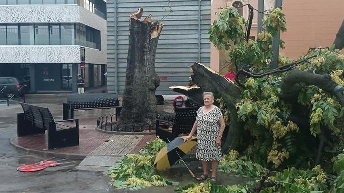 Margarita Castellblanch després de caure l'arbre d'Estivella.