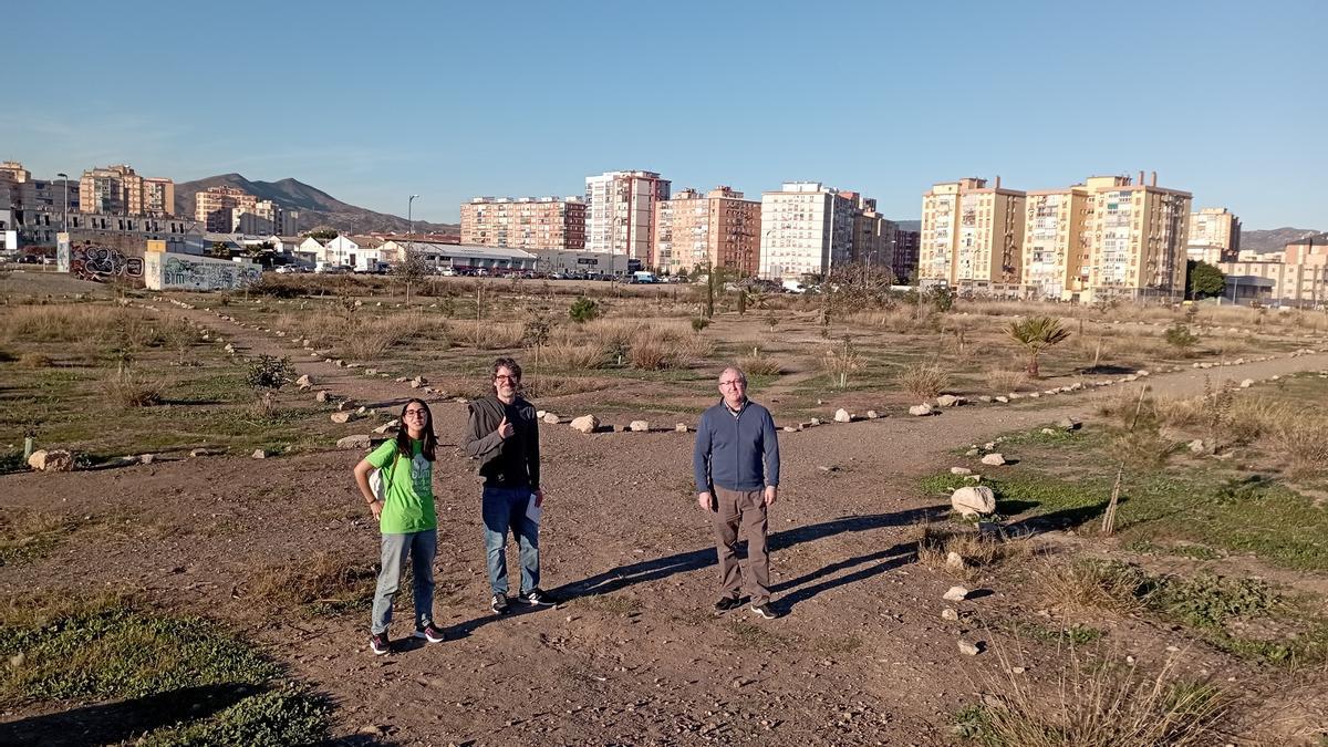 Paula Aranda, Francisco Javier López y Pedro Francisco Sánchez, a finales de enero en la zona de Repsol repoblada por la plataforma con 300 ejemplares entre álamos, acebuches, algarrobos, cipreses, encinas y pinos.