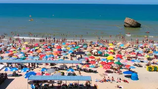 Cómo apuntarte gratis a los viajes en autobús del Ayuntamiento de Sevilla para ir a la playa