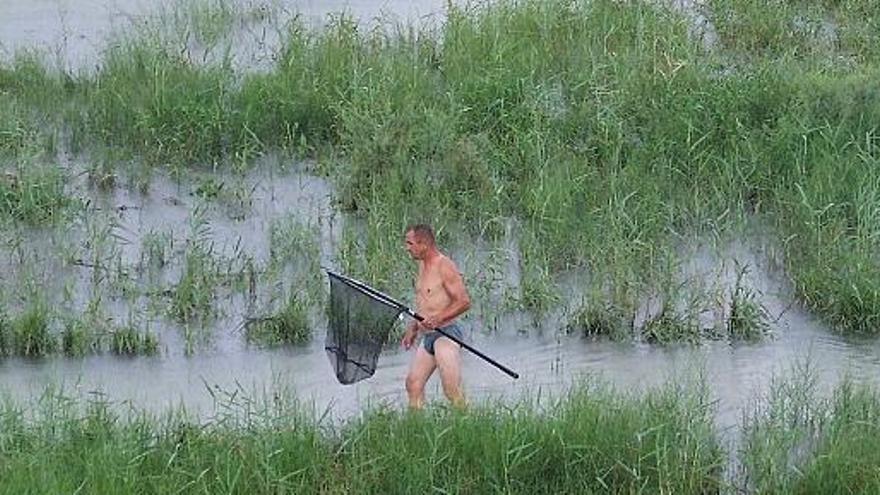 Un pescador con un gambero el pasado jueves en el río Segura, entre los términos municipales de Rojales y Guardamar.