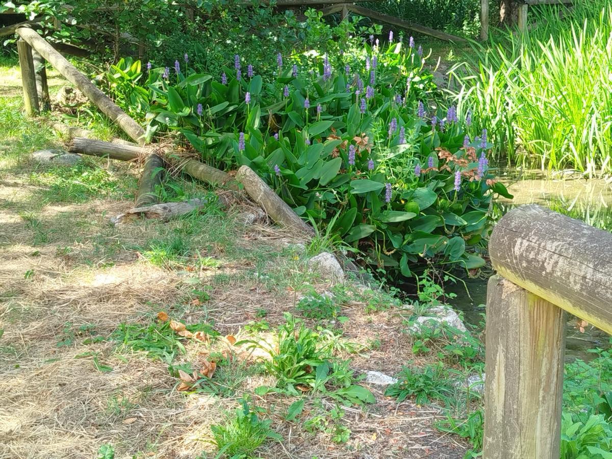 Vallas rotas y tiradas en el entorno de la laguna del Vau de Meda, en Villanueva de Pría.