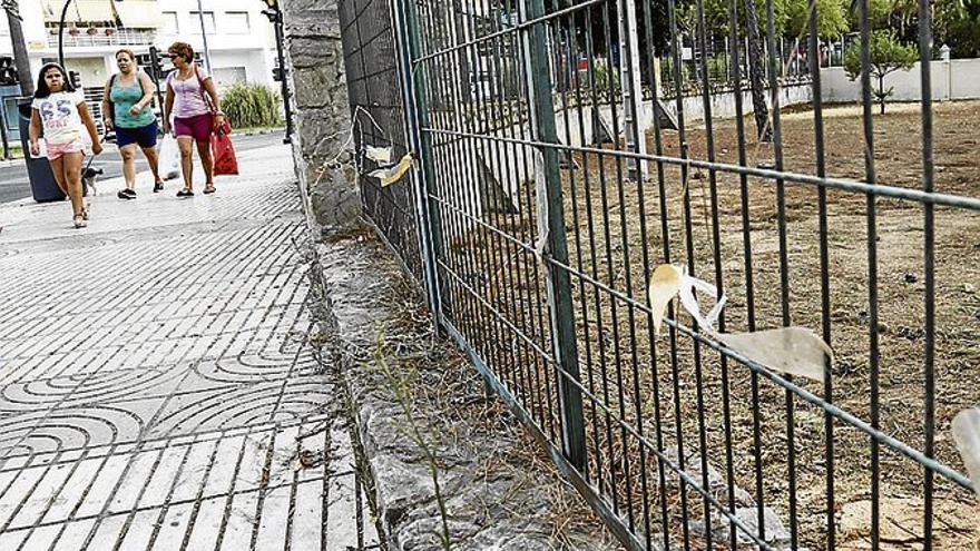 Talan una decena de pinos en los antiguos hogares &quot;por seguridad&quot;