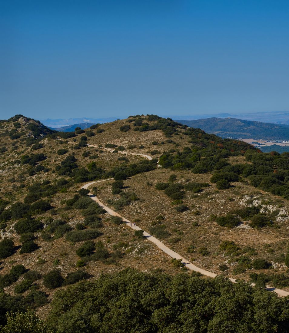 El Menejador, Alicante