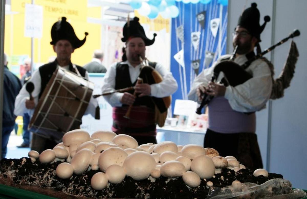 Fiesta del Champiñón de Ordes
