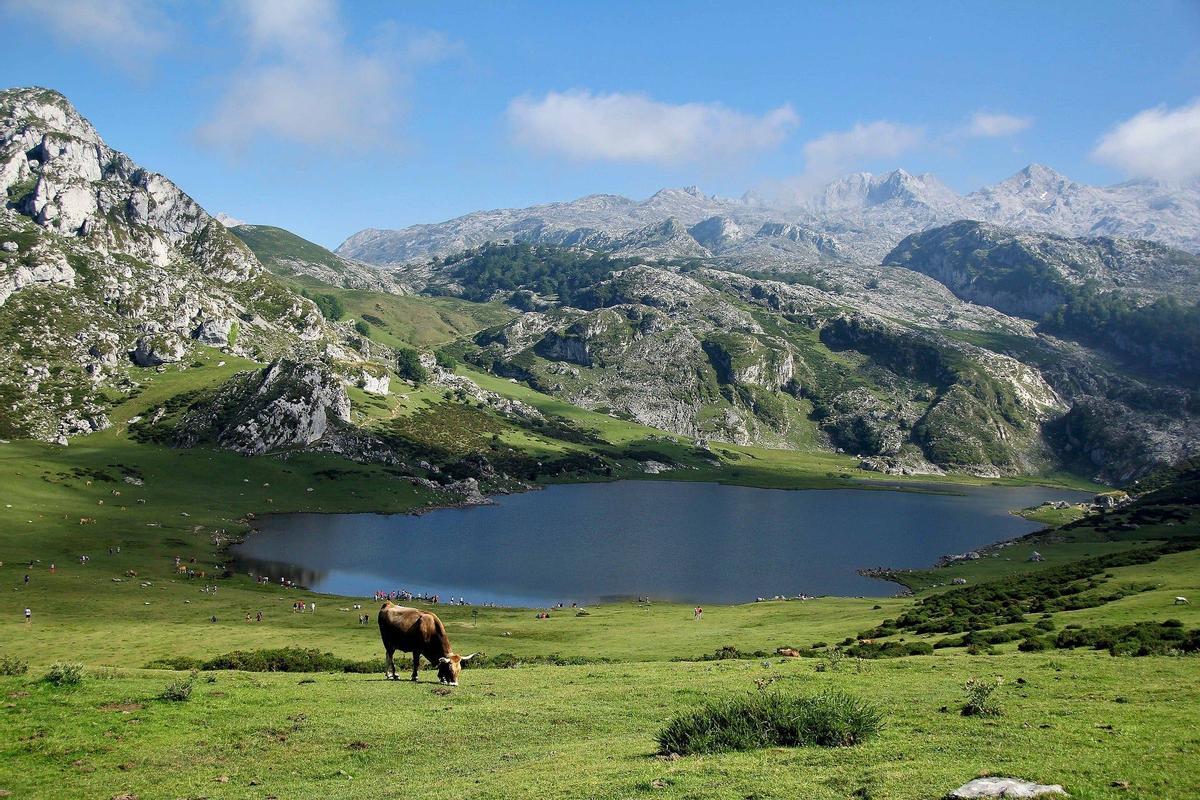 Lagos de Covadonga (Asturias) 58.000 menciones