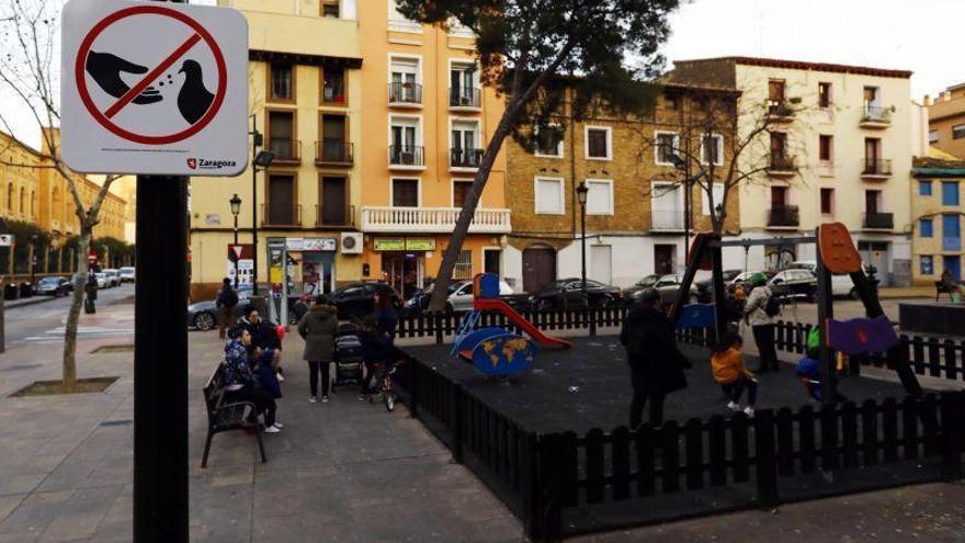 El consistorio pide no dar de comer a las palomas para acabar con las ratas