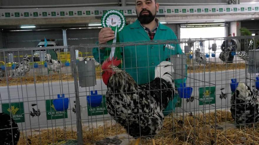 José Ramón Vidal, ayer, junto al gallo ganador del concurso.