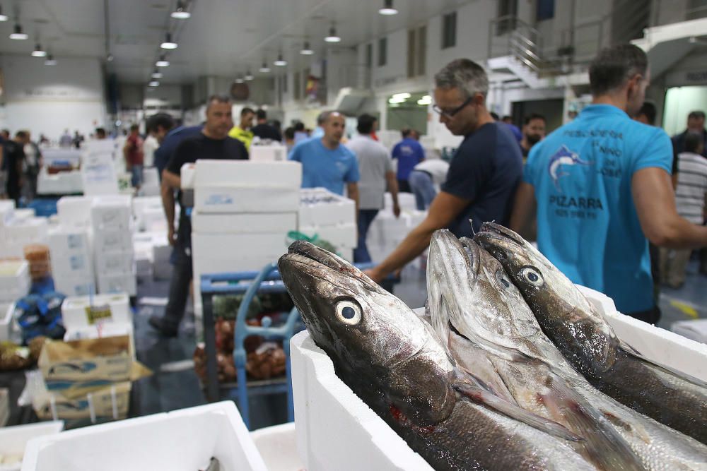 Así es un día de trabajo en la pescadería de Mercamálaga