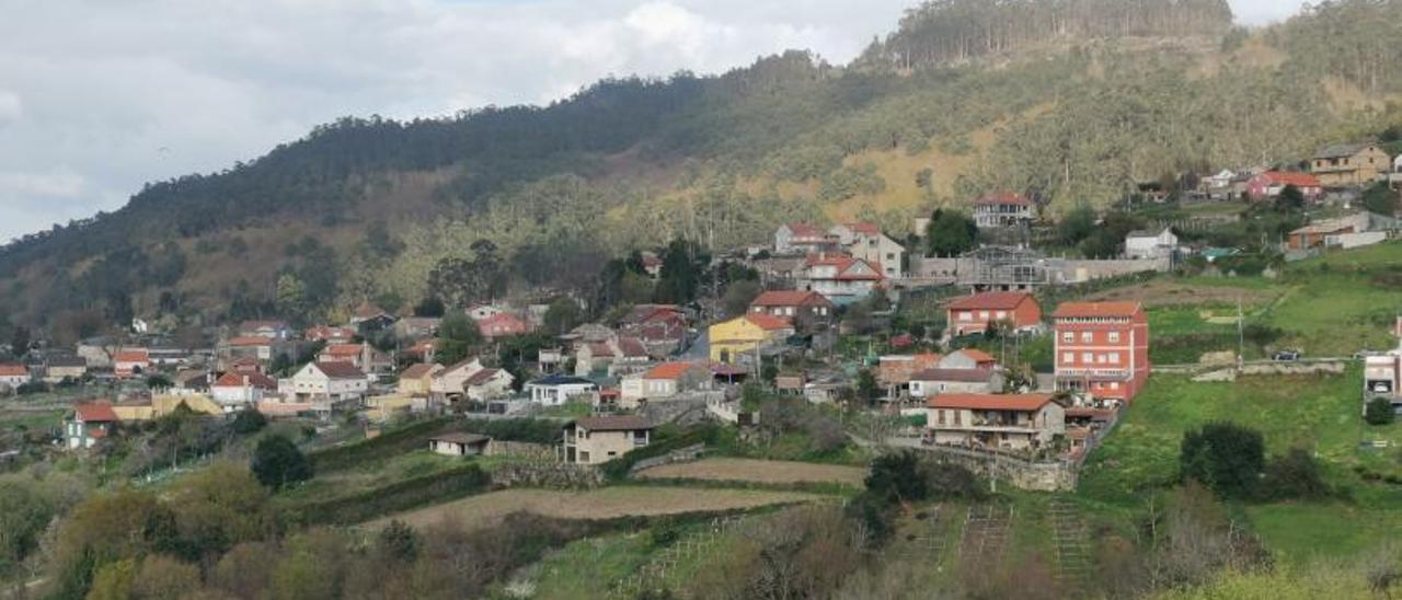 Masa forestal próxima a las viviendas, en la parroquia buenense de Cela. | // SANTOS ÁLVAREZ