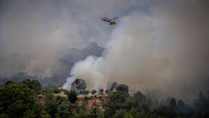 Dentro del incendio en Baix Ebre: los bomberos trabajan a contra reloj en el incendio forestal en Paüls