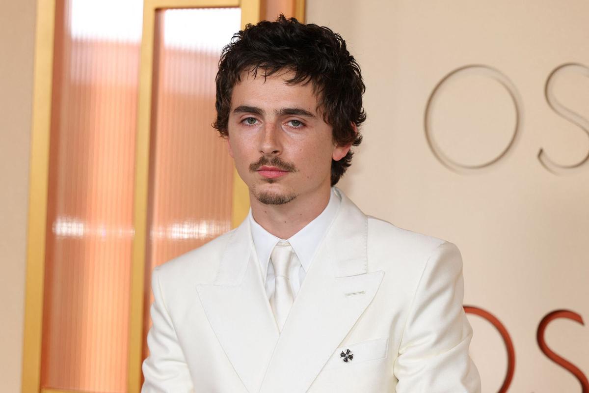 El actor Timothee Chalamet en la alfombra roja de los premios Oscar 2026