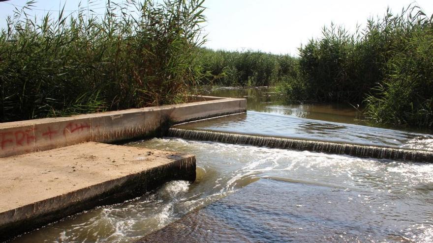 Cinco veces más agua por el Albujón: el Mar Menor, ante el riesgo de otra 'sopa verde'