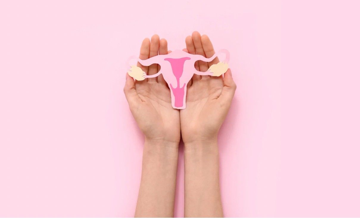 Cómo influyen la salud hormonal y los hábitos de vida en tu fertilidad.
