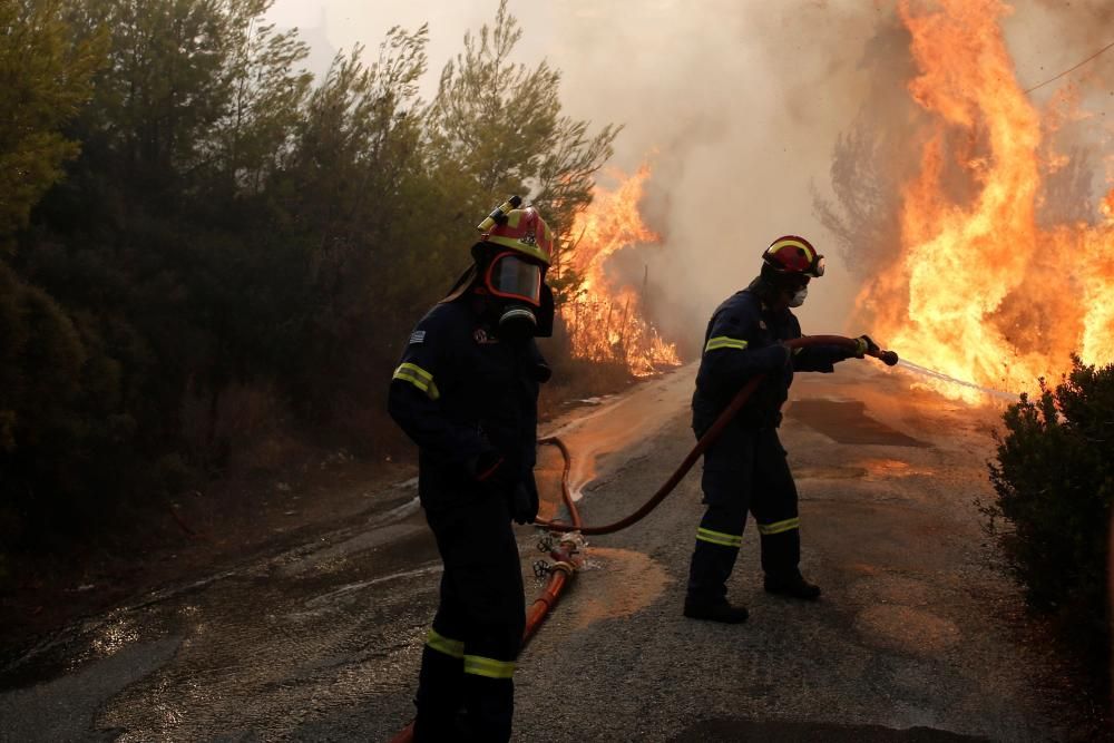Al menos 50 muertos por incendios en Grecia.