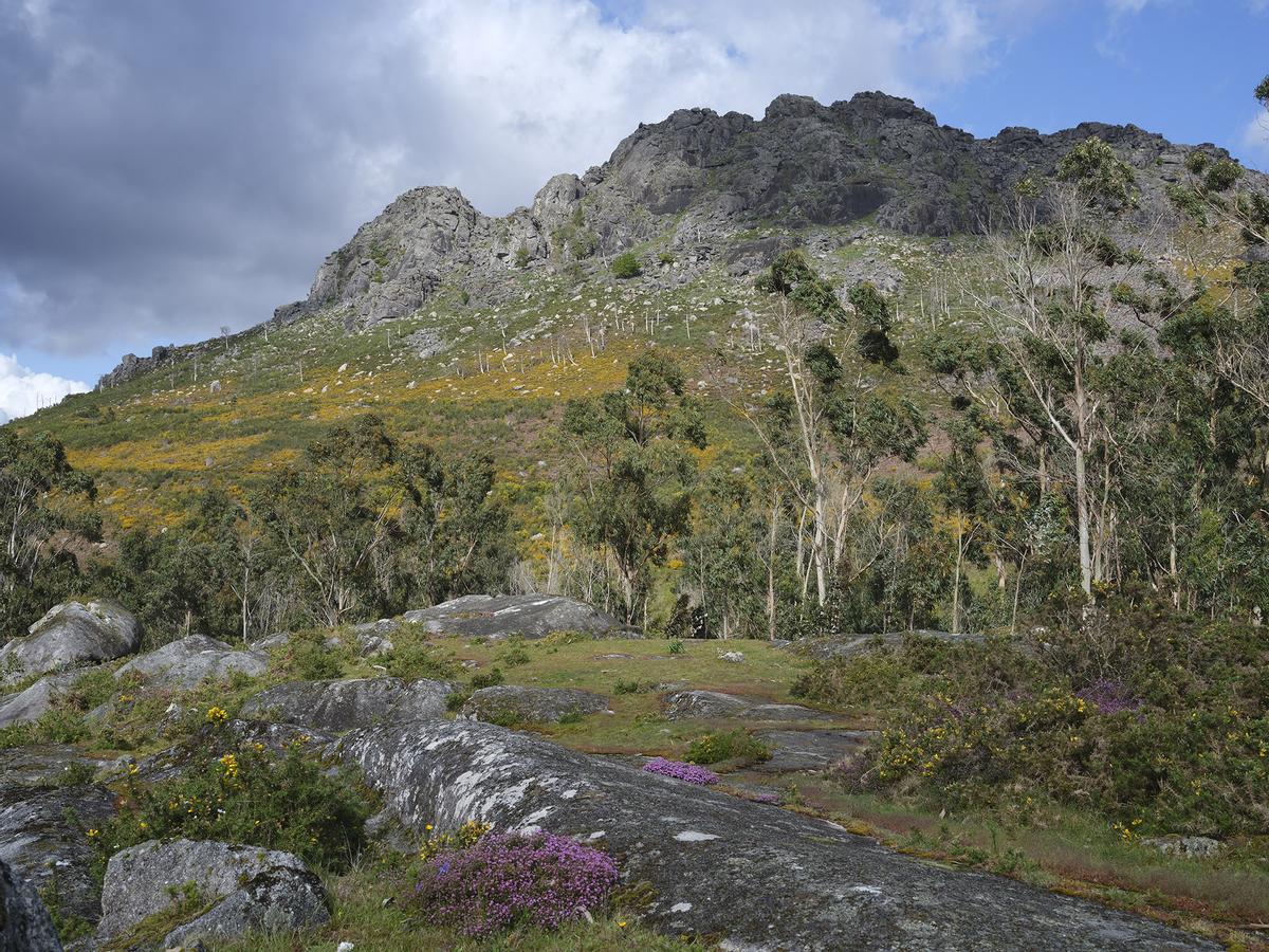 Serra do Galiñeiro. Monte Galiñeiro.