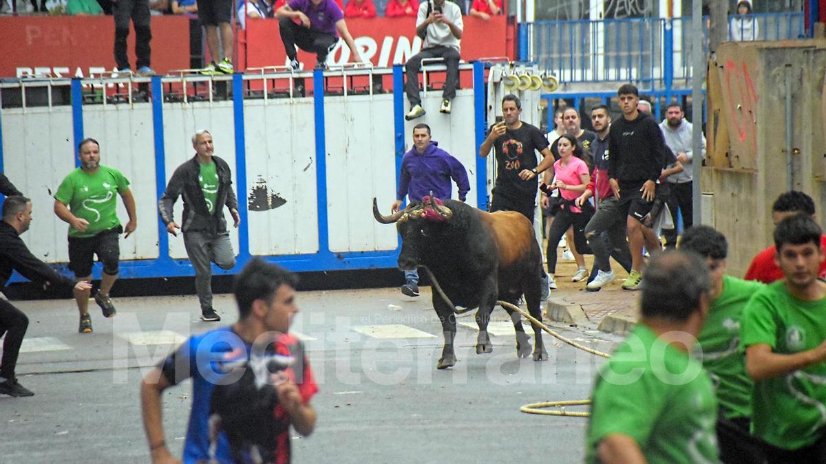 Bous a Les Alqueries 2025