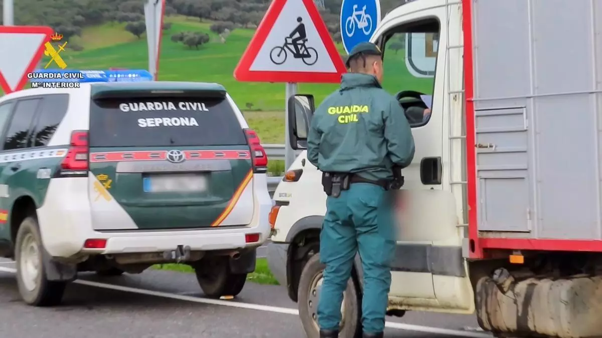 La Guardia Civil investiga a 44 personas por falsedad documental en centros de limpieza de Cáceres