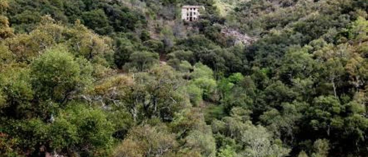 Subida a la Peña Blanca, en el pulmón de Espadà