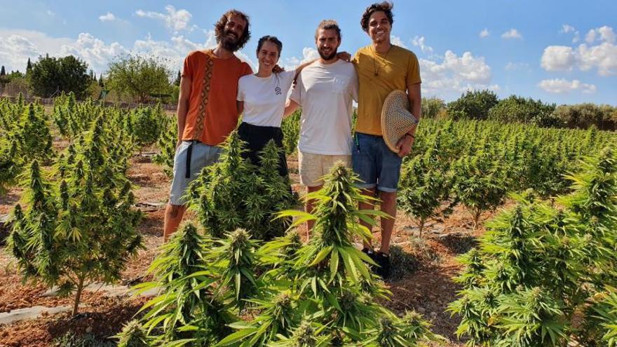  Nuño Monasterio, Inés Calleja, Thomas Fernández y Rogelio Fernández.   2 Fernández explica las propiedades de la planta. 