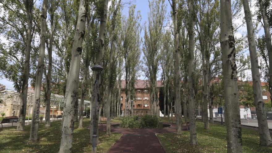 El PSOE niega que se esté desmantelando el servicio de Parques y Jardines en Avilés - Vimarsana News