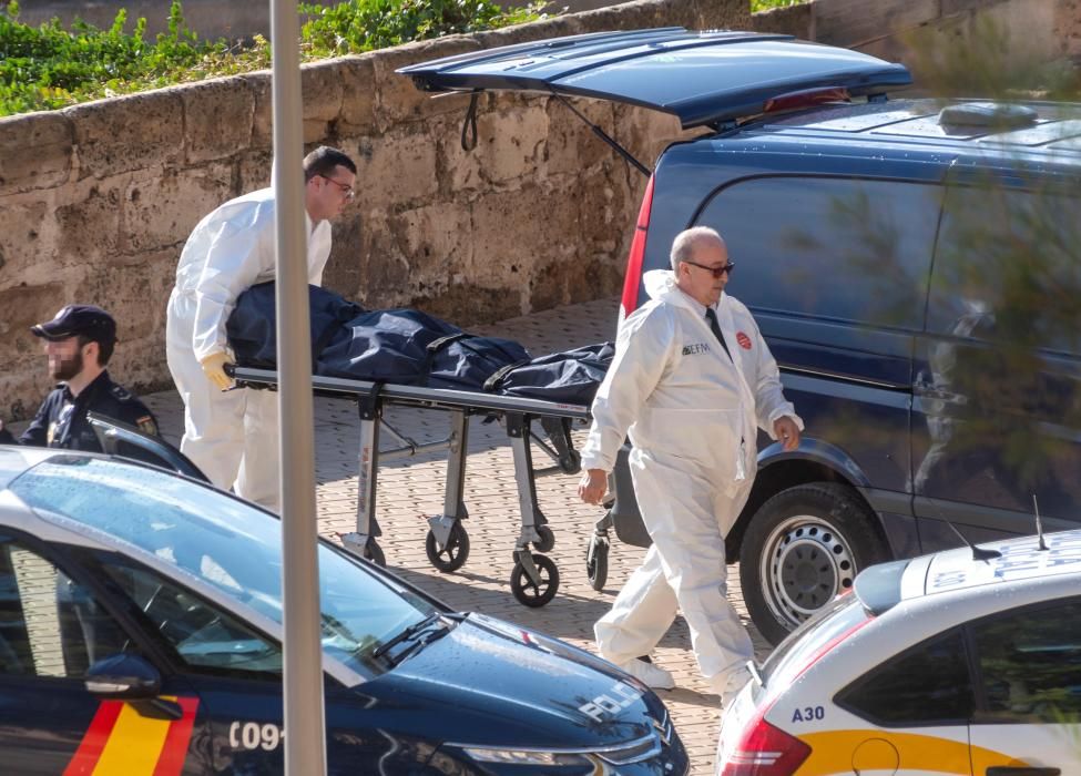 Una mujer fallece en Mallorca al caerle encima una palmera