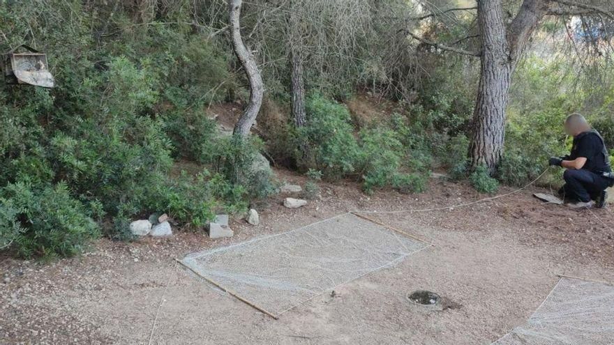 Denuncien dues persones per capturar ocells il·legalment a l&#039;Alt Empordà