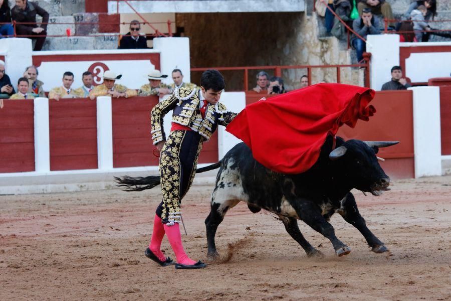 Tarde de toros en Zamora