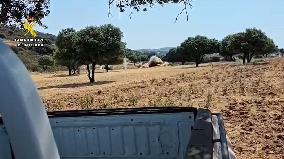 Los Tedax de la Guardia Civil destruyen un proyectil de la Guerra Civil localizado en un coto de caza de Hinojosa del Duque.