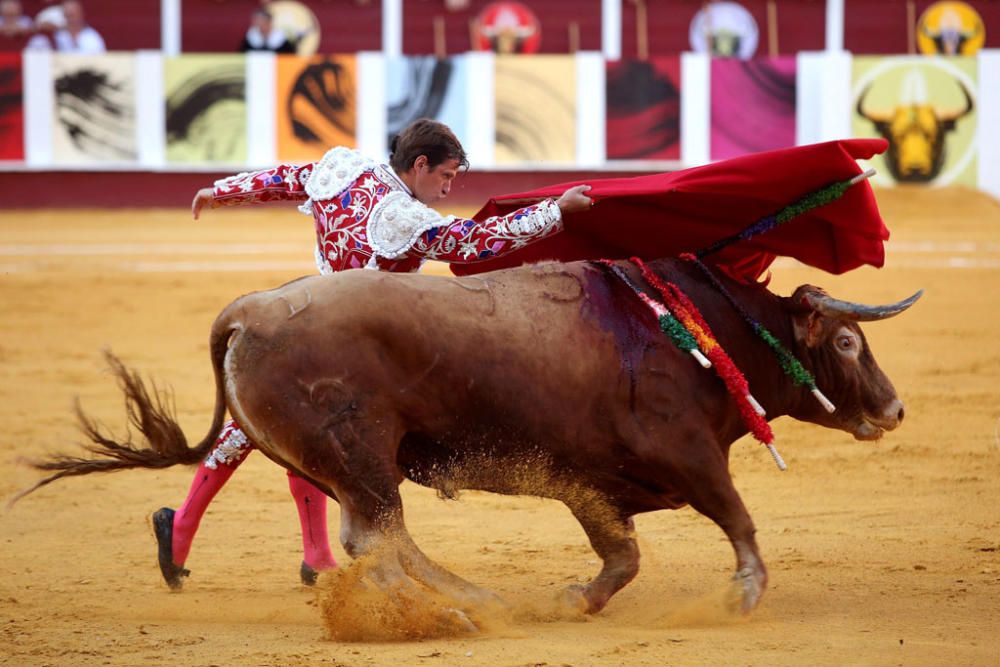 Corrida de toros en la plaza de La Malagueta