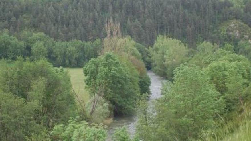 Una de les zones de ribera que es protegiran al terme de Prullans