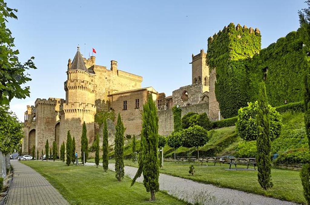 Vistas del Palacio de Olite