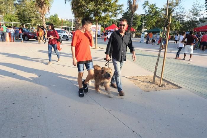 Entrega de dorsales de la 90k Camino de la Cruz