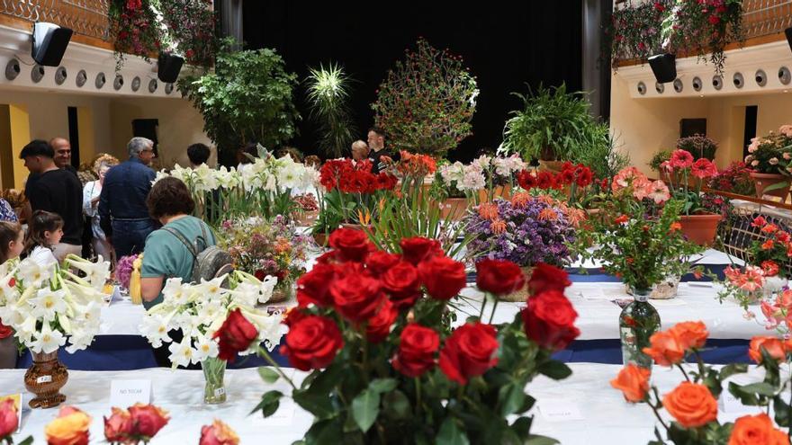 Exposición de &#039;Anar a Maig&#039;: 50 años floreando la gran fiesta de Santa Eulària