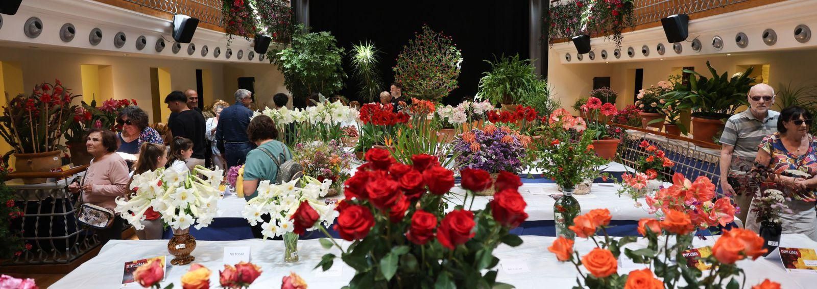 Vista general de la exposición de plantas y flores en el Teatro España.