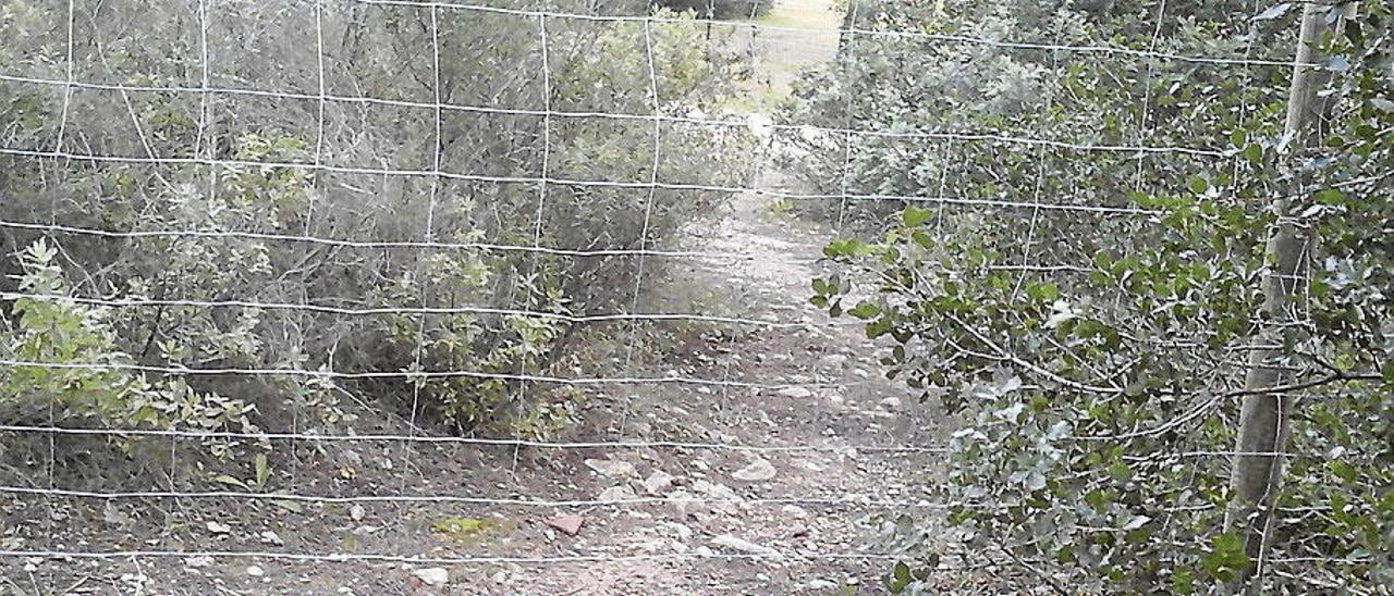 Un tramo del camino está cerrado también con la valla.