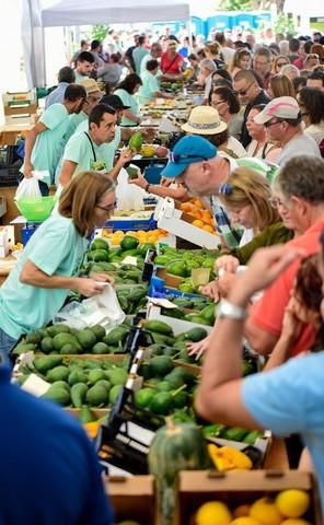 II Feria del Aguacate en Arguineguín