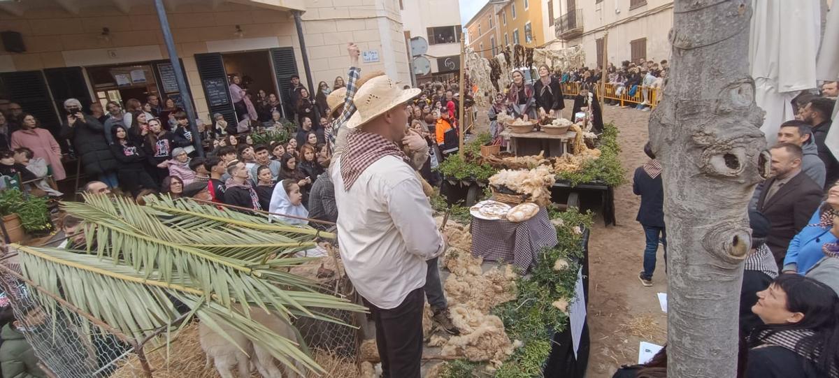 'Beneïdes' en Son Servera.