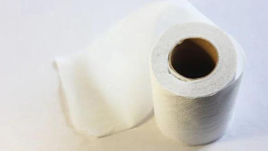 Adiós a los mosquitos y a las moscas en verano: el sencillo truco del papel higiénico que está arrasando en redes