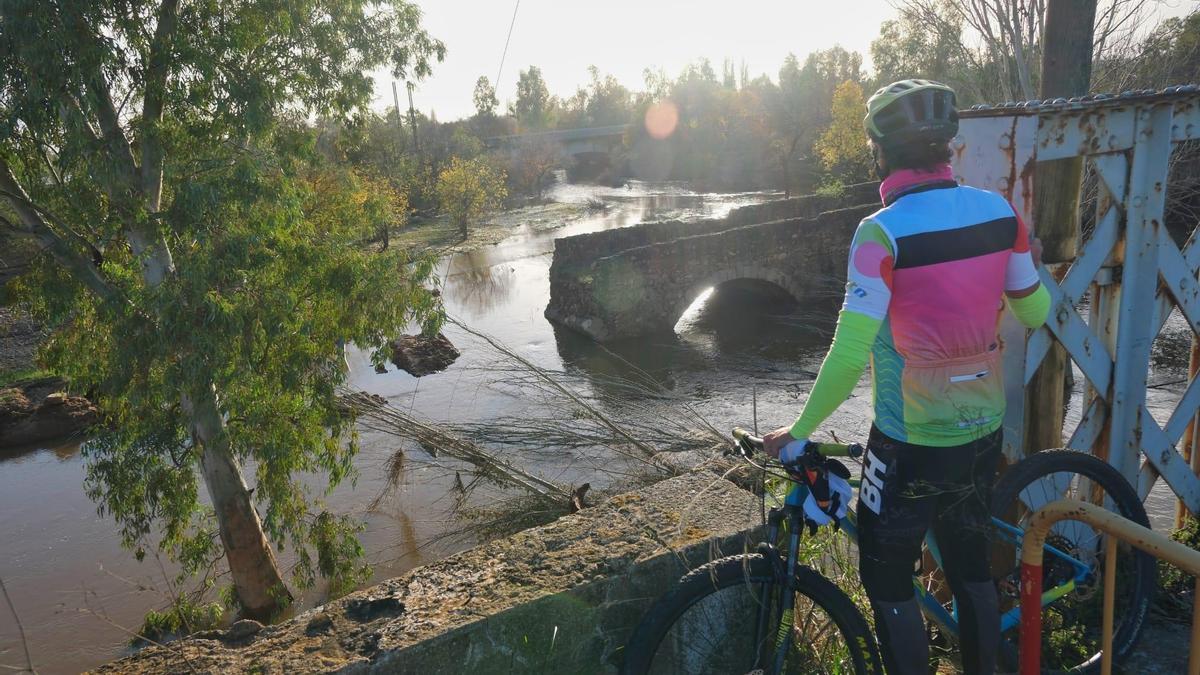 Un ciclista observa el puente tras su derribo parcial por la crecida del río Gévora.