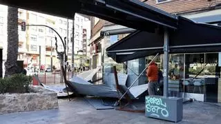 El viento causa estragos en la Región de Murcia: corta carreteras, derriba árboles y hace caer macetas y hasta una cama de los balcones