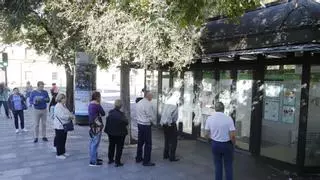 El consejo de distrito Centro se opone a que una parte de Colón se renombre como plaza Virgen de la Quinta Angustia